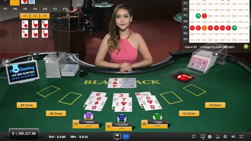 Live stream setup of Real Dealer Blackjack with real cards and live dealer